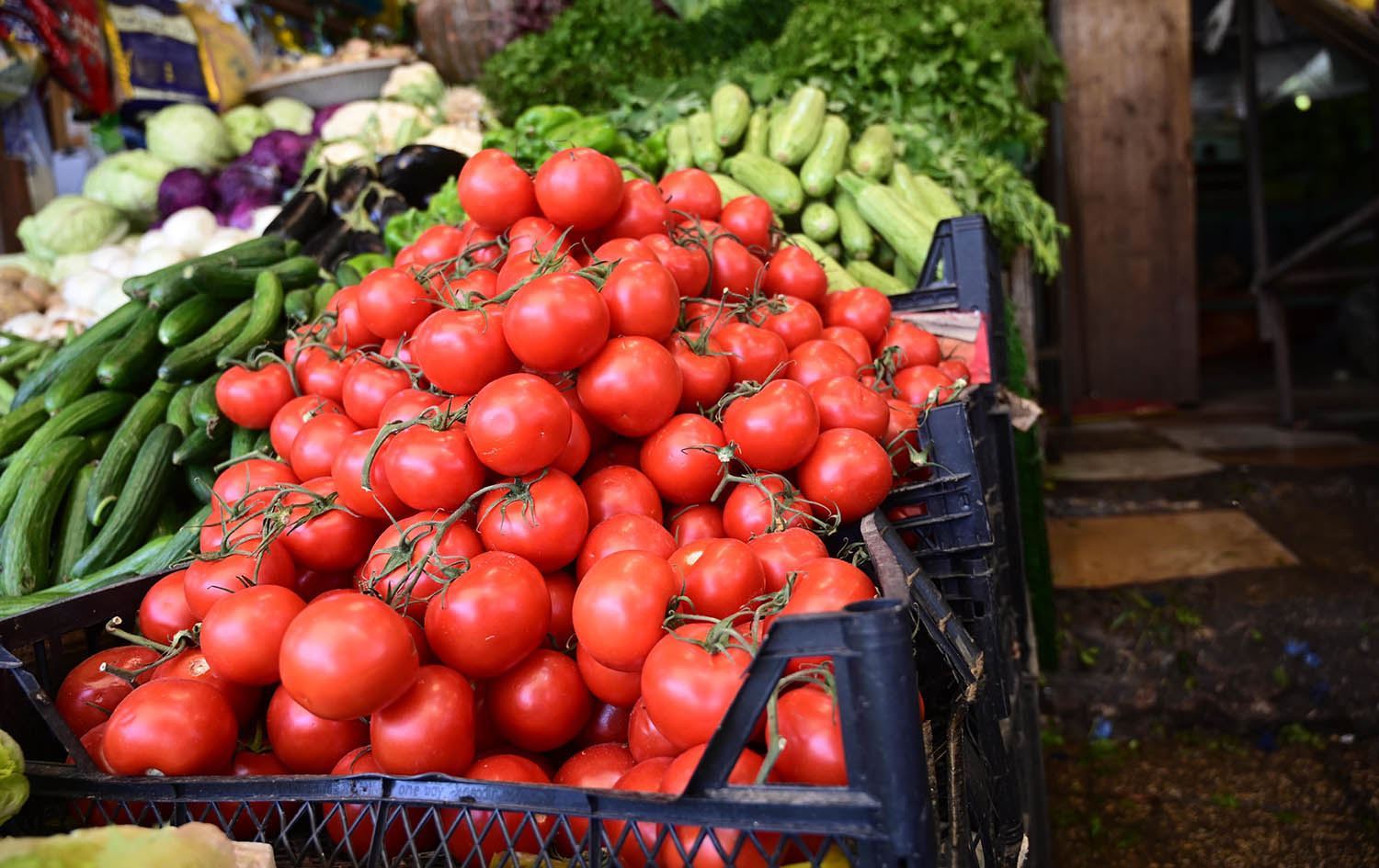 وەزارەتى کشتوکاڵ بڕیارى هاوردەنەکردنى تەماتەى هەڵوەشاندەوە