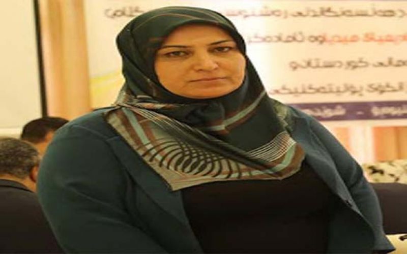 د. نەزاکەت حسێن: جووڵە ستراتیژییەکانى نێچیرڤان بارزانى تێڕوانینى جیهانى بۆ کوردستان گۆڕیوە