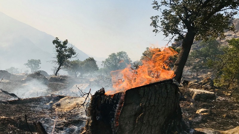 تورکیا و پەکەکە ئامارێکی نوێی شەڕ بڵاودەکەنەوە