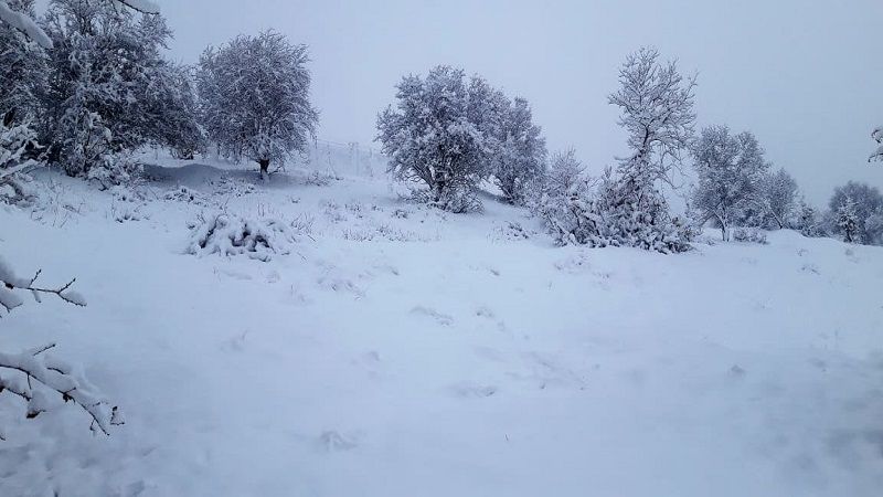 کەشناسى هەرێم ڕەوشى کەشوهەواى ئەمڕۆ و سبەى ڕاگەیاند