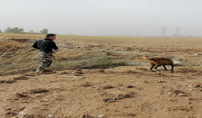 وەزارەتى پێشمەرگە بە تیمى (K9) بە دواى تەرمى قوربانیانى لافاوەکەى هەولێر دەگەڕێت