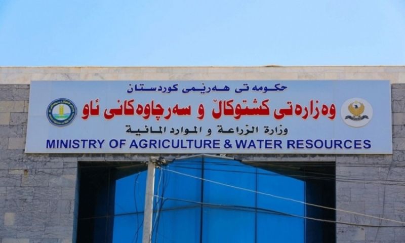 وەزارەتى کشتوکاڵ باج لەسەر پەتاتە و هەنارى هاوردەکراو دادەنێت